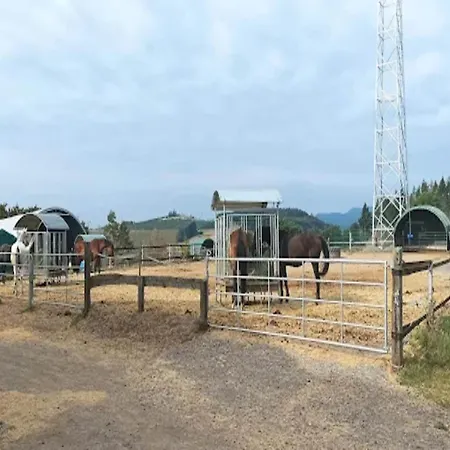 In Korbach Nahe Willingen, Cleaning Included *